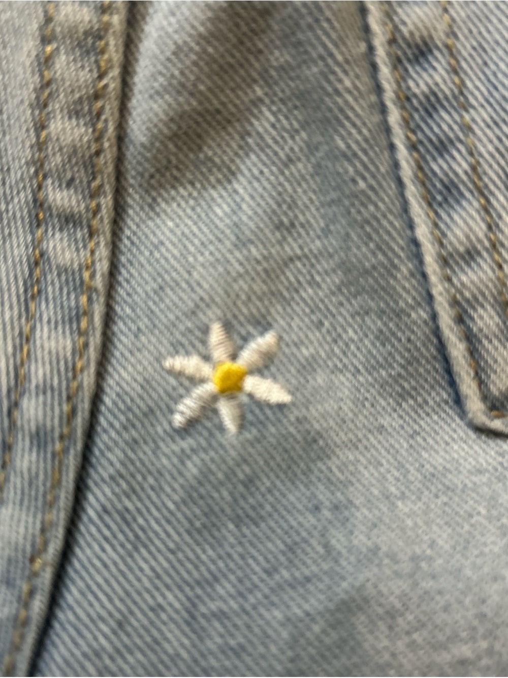 Light Blue Embroidered Daisy Women’s Jean shorts